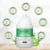 Ginger Lily Farms Club & Fitness Citrus Moisturizing Conditioner, 100% Vegan, Paraben, Sulfate, Phosphate, Gluten & Cruelty-Free, 1 Gallon (Pack of 4 )(Aloe Vera)