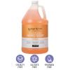 Ginger Lily Farms Club & Fitness Conditioning Liquid Hand Soap Refill, 100% Vegan & Cruelty-Free, Citrus Scent, 1 Gallon (128 fl oz)(Citrus)