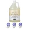 Ginger Lily Farms Club & Fitness Conditioning Liquid Hand Soap Refill, 100% Vegan & Cruelty-Free, Citrus Scent, 1 Gallon (128 fl oz)(Fragrance Free)