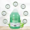 Ginger Lily Farms Club & Fitness Moisturizing Shampoo for All Hair Types, 100% Vegan & Cruelty-Free, Citrus Scent, 1 Gallon (128 fl oz) Refill(Aloe Vera)