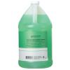 Ginger Lily Farms Club & Fitness Moisturizing Shampoo for All Hair Types, 100% Vegan & Cruelty-Free, Citrus Scent, 1 Gallon (128 fl oz) Refill(Aloe Vera)