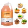 Ginger Lily Farms Club & Fitness Moisturizing Shampoo for All Hair Types, 100% Vegan & Cruelty-Free, Citrus Scent, 1 Gallon (128 fl oz) Refill(Citrus)