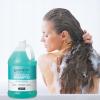 Ginger Lily Farms Club & Fitness Moisturizing Shampoo for All Hair Types, 100% Vegan & Cruelty-Free, Citrus Scent, 1 Gallon (128 fl oz) Refill(Ocean Breeze)