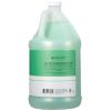 Ginger Lily Farms Club & Fitness Nourishing Body Wash, 100% Vegan & Cruelty-Free, Citrus Scent, 1 Gallon Refill (Pack of 4)(Aloe Vera)