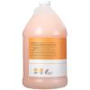 Ginger Lily Farms Club & Fitness Nourishing Body Wash, 100% Vegan & Cruelty-Free, Citrus Scent, 1 Gallon Refill (Pack of 4)(Citrus)