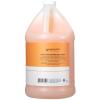 Ginger Lily Farms Club & Fitness Nourishing Body Wash, 100% Vegan & Cruelty-Free, Citrus Scent, 1 Gallon Refill (Pack of 4)(Citrus)
