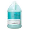 Ginger Lily Farms Club & Fitness Nourishing Body Wash, 100% Vegan & Cruelty-Free, Citrus Scent, 1 Gallon Refill (Pack of 4)(Ocean Breeze)