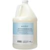 Ginger Lily Farms Club & Fitness Nourishing Body Wash, 100% Vegan & Cruelty-Free, Citrus Scent, 1 Gallon Refill (Pack of 4)(Rain Water)