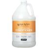 Ginger Lily Farms Club & Fitness Citrus Moisturizing Conditioner, 100% Vegan, Paraben, Sulfate, Phosphate, Gluten & Cruelty-Free, 1 Gallon (Pack of 4 )(Citrus)