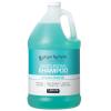 Ginger Lily Farms Club & Fitness Moisturizing Shampoo for All Hair Types, 100% Vegan & Cruelty-Free, Citrus Scent, 1 Gallon (128 fl oz) Refill(Ocean Breeze)