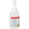 Ginger Lily Farms Botanicals All-Purpose Foaming Hand Soap Refill, 100% Vegan & Cruelty-Free, Vanilla Sugar Bliss Scent, 20 Fl Oz (Pack of 1)(Apple Pear)