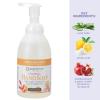 Ginger Lily Farms Botanicals All-Purpose Foaming Hand Soap Refill, 100% Vegan & Cruelty-Free, Vanilla Sugar Bliss Scent, 20 Fl Oz (Pack of 1)(Coco Mango)