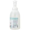 Ginger Lily Farms Botanicals All-Purpose Foaming Hand Soap Refill, 100% Vegan & Cruelty-Free, Vanilla Sugar Bliss Scent, 20 Fl Oz (Pack of 1)(Cucumber Mint Bliss)
