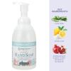 Ginger Lily Farms Botanicals All-Purpose Foaming Hand Soap Refill, 100% Vegan & Cruelty-Free, Vanilla Sugar Bliss Scent, 20 Fl Oz (Pack of 1)(Cucumber Mint Bliss)