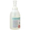 Ginger Lily Farms Botanicals All-Purpose Foaming Hand Soap Refill, 100% Vegan & Cruelty-Free, Vanilla Sugar Bliss Scent, 20 Fl Oz (Pack of 1)(Cucumber Mint Bliss)