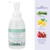 Ginger Lily Farms Botanicals All-Purpose Foaming Hand Soap Refill, 100% Vegan & Cruelty-Free, Vanilla Sugar Bliss Scent, 20 Fl Oz (Pack of 1)(Eucalyptus Tranquility)