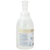Ginger Lily Farms Botanicals All-Purpose Foaming Hand Soap Refill, 100% Vegan & Cruelty-Free, Vanilla Sugar Bliss Scent, 20 Fl Oz (Pack of 1)(Fragrance Free)