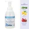 Ginger Lily Farms Botanicals All-Purpose Foaming Hand Soap Refill, 100% Vegan & Cruelty-Free, Vanilla Sugar Bliss Scent, 20 Fl Oz (Pack of 1)(Island Tranquility)