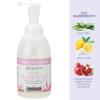 Ginger Lily Farms Botanicals All-Purpose Foaming Hand Soap Refill, 100% Vegan & Cruelty-Free, Vanilla Sugar Bliss Scent, 20 Fl Oz (Pack of 1)(Vanilla Sugar Bliss)