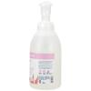 Ginger Lily Farms Botanicals All-Purpose Foaming Hand Soap Refill, 100% Vegan & Cruelty-Free, Vanilla Sugar Bliss Scent, 20 Fl Oz (Pack of 1)(Vanilla Sugar Bliss)