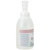 Ginger Lily Farms Botanicals All-Purpose Foaming Hand Soap Refill, 100% Vegan & Cruelty-Free, Vanilla Sugar Bliss Scent, 20 Fl Oz (Pack of 1)(Whispering Rose)