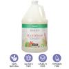 Ginger Lily Farms Botanicals Conditioning Liquid Hand Soap Refill, 100% Vegan & Cruelty-Free, Vanilla Sugar Bliss Scent, 1 Gallon (Pack of 4)(Basil)