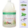 Ginger Lily Farms Botanicals Conditioning Liquid Hand Soap Refill, 100% Vegan & Cruelty-Free, Vanilla Sugar Bliss Scent, 1 Gallon (Pack of 4)(Basil)