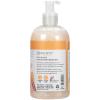 Ginger Lily Farms Botanicals Conditioning Liquid Hand Soap Refill, 100% Vegan & Cruelty-Free, Vanilla Sugar Bliss Scent, 1 Gallon (Pack of 4)(Coco Mango)