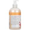 Ginger Lily Farms Botanicals Conditioning Liquid Hand Soap Refill, 100% Vegan & Cruelty-Free, Vanilla Sugar Bliss Scent, 1 Gallon (Pack of 4)(Coco Mango)
