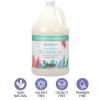 Ginger Lily Farms Botanicals Conditioning Liquid Hand Soap Refill, 100% Vegan & Cruelty-Free, Vanilla Sugar Bliss Scent, 1 Gallon (Pack of 4)(Eucalyptus Tranquility)