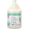 Ginger Lily Farms Botanicals Conditioning Liquid Hand Soap Refill, 100% Vegan & Cruelty-Free, Vanilla Sugar Bliss Scent, 1 Gallon (Pack of 4)(Eucalyptus Tranquility)