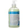 Ginger Lily Farms Botanicals Conditioning Liquid Hand Soap Refill, 100% Vegan & Cruelty-Free, Vanilla Sugar Bliss Scent, 1 Gallon (Pack of 4)(Island Tranquility)