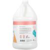 Ginger Lily Farms Botanicals Moisturizing Conditioner for Dry Hair, 100% Vegan & Cruelty-Free, Vanilla Sugar Bliss Scent, 1 Gallon (Pack of 4)(Apple Pear)