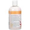 Ginger Lily Farms Botanicals Moisturizing Conditioner for Dry Hair, 100% Vegan & Cruelty-Free, Vanilla Sugar Bliss Scent, 1 Gallon (Pack of 4)(Coco Mango)