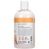 Ginger Lily Farms Botanicals Moisturizing Conditioner for Dry Hair, 100% Vegan & Cruelty-Free, Vanilla Sugar Bliss Scent, 1 Gallon (Pack of 4)(Coco Mango)