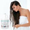 Ginger Lily Farms Botanicals Moisturizing Conditioner for Dry Hair, 100% Vegan & Cruelty-Free, Vanilla Sugar Bliss Scent, 1 Gallon (Pack of 4)(Cucumber Mint Bliss)