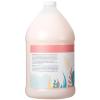 Ginger Lily Farms Botanicals Moisturizing Shampoo for All Hair Types, 100% Vegan & Cruelty-Free, Vanilla Sugar Bliss, 1 Gallon (128 fl oz) Refill(Champagne Mimosa)