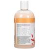Ginger Lily Farms Botanicals Moisturizing Shampoo for All Hair Types, 100% Vegan & Cruelty-Free, Vanilla Sugar Bliss, 1 Gallon (128 fl oz) Refill(Coco Mango)