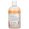 Ginger Lily Farms Botanicals Moisturizing Shampoo for All Hair Types, 100% Vegan & Cruelty-Free, Vanilla Sugar Bliss, 1 Gallon (128 fl oz) Refill(Coco Mango)