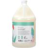 Ginger Lily Farms Botanicals Moisturizing Shampoo for All Hair Types, 100% Vegan & Cruelty-Free, Vanilla Sugar Bliss, 1 Gallon (128 fl oz) Refill(Eucalyptus Tranquility)