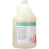 Ginger Lily Farms Botanicals Moisturizing Shampoo for All Hair Types, 100% Vegan & Cruelty-Free, Vanilla Sugar Bliss, 1 Gallon (128 fl oz) Refill(Eucalyptus Tranquility)