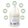 Ginger Lily Farms Botanicals Moisturizing Shampoo for All Hair Types, 100% Vegan & Cruelty-Free, Vanilla Sugar Bliss, 1 Gallon (128 fl oz) Refill(Fragrance Free)