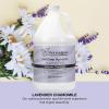 Ginger Lily Farms Botanicals Shea Indulgence 24H Deep Hydration Body Lotion, 100% Vegan & Cruelty-Free, Vanilla Sugar Bliss Scent, 1 Gallon (128 fl oz) Refill(Lavender Chamomile)