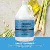 Ginger Lily Farms Botanicals Shea Indulgence 24H Deep Hydration Body Lotion, 100% Vegan & Cruelty-Free, Vanilla Sugar Bliss Scent, 1 Gallon (128 fl oz) Refill(Island Tranquility)
