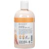 Ginger Lily Farms Botanicals Soothing Butter Lotion for Dry Skin, 100% Vegan & Cruelty-Free, Vanilla Sugar Bliss Scent, 1 Gallon (128 fl oz) Refill(Coco Mango)