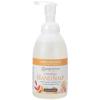 Ginger Lily Farms Botanicals All-Purpose Foaming Hand Soap Refill, 100% Vegan & Cruelty-Free, Vanilla Sugar Bliss Scent, 20 Fl Oz (Pack of 1)(Coco Mango)
