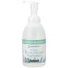Ginger Lily Farms Botanicals All-Purpose Foaming Hand Soap Refill, 100% Vegan & Cruelty-Free, Vanilla Sugar Bliss Scent, 20 Fl Oz (Pack of 1)(Eucalyptus Tranquility)
