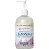 Ginger Lily Farms Botanicals Conditioning Liquid Hand Soap Refill, 100% Vegan & Cruelty-Free, Vanilla Sugar Bliss Scent, 1 Gallon (Pack of 4)(Fragrance Free)