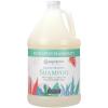 Ginger Lily Farms Botanicals Moisturizing Shampoo for All Hair Types, 100% Vegan & Cruelty-Free, Vanilla Sugar Bliss, 1 Gallon (128 fl oz) Refill(Eucalyptus Tranquility)