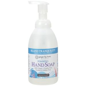 Ginger Lily Farms Botanicals All-Purpose Foaming Hand Soap Refill, 100% Vegan & Cruelty-Free, Vanilla Sugar Bliss Scent, 20 Fl Oz (Pack of 1)(Island Tranquility)